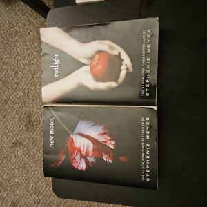 Twilight books